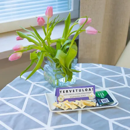 Cozy Cityapartment Center Apartamento